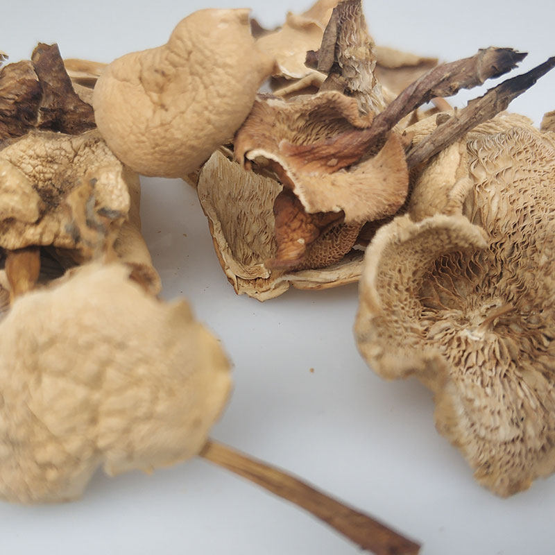 小米妞 香丁蘑菇 承德坝上特产香蘑 天然野生蘑菇干货 250g包邮