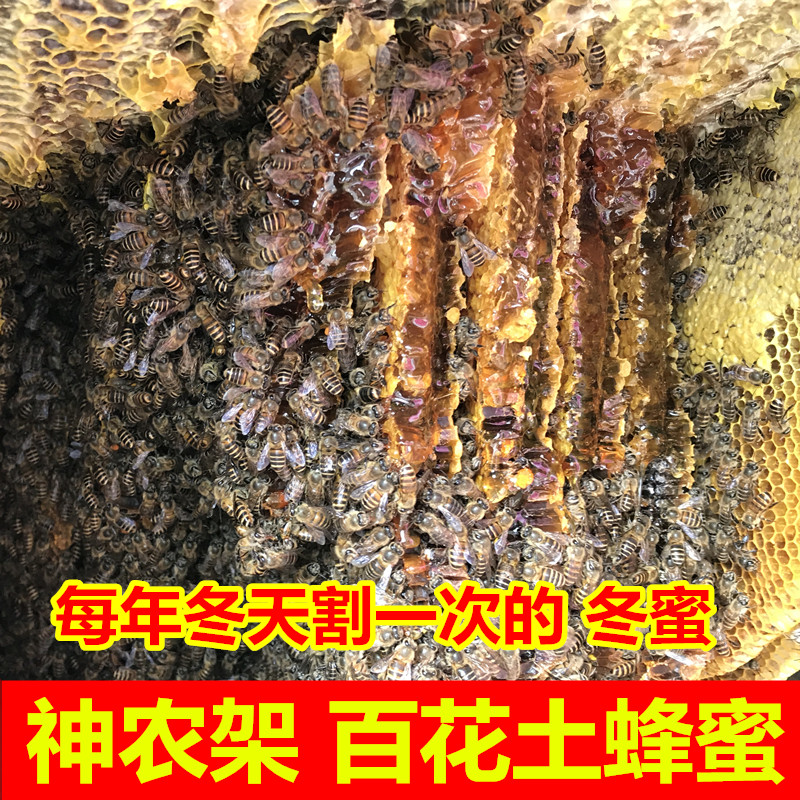 土蜂蜜纯正天然野生神农架深山一年割一次的百花蜜冬蜜结晶蜜500g