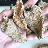 神农架深山野外原生天麻干货非云南新鲜天麻无硫天麻切片磨粉250g
