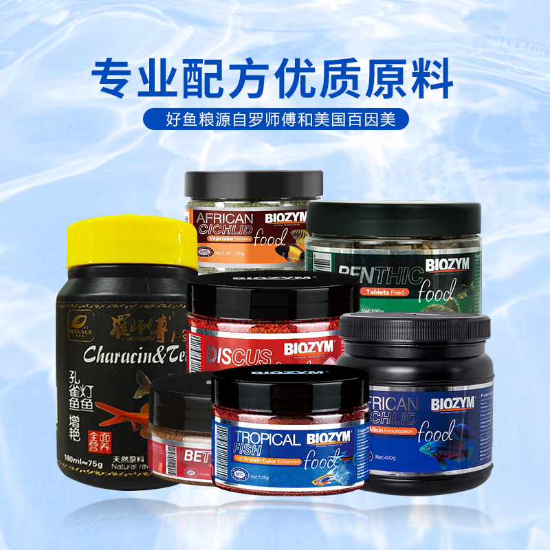 百因美小型观赏鱼孔雀灯科斗鱼