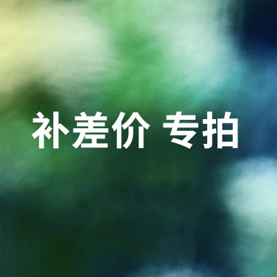 专拍链接补差价定制专拍3