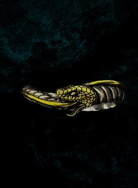 帝骁原创手工个性潮流蛇戒指做旧