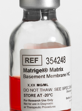 BD Biocoat 354248 Matrigel 高浓度基质胶, High Concentration