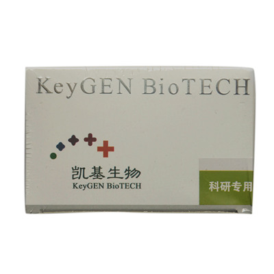 凯基生物Keygen KGP902 BCA蛋白含量检测试剂盒