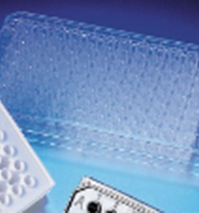 康宁Corning 3690 96孔板平底半区高结合表面，PS聚苯乙烯材质