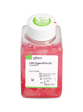 Gibco 25300-062胰酶细胞消化液（0.05%胰酶 含EDTA、酚红）500ml