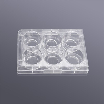 BiosharpBS-CP-6C6孔玻底共聚焦培养板(玻底20mm)透明无菌包装