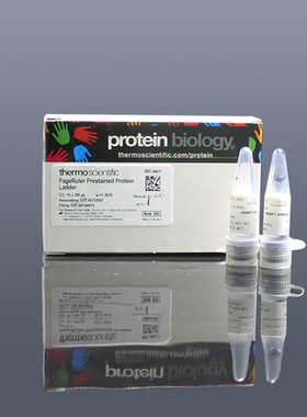 正品Thermo赛默飞彩虹蛋白Marker10-180kDa分子量标准26616/26617