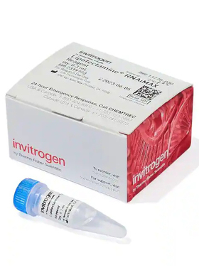 13778-030 Lipofectamine RNAiMAX 转染试剂