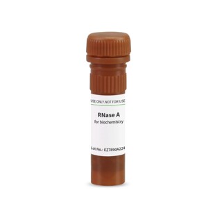 RNase BioFroxx 1341MG025 核糖核酸酶A 25mg