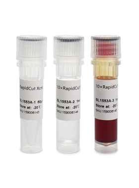 BL1553A RapidCut XcmI 快速限制性内切酶