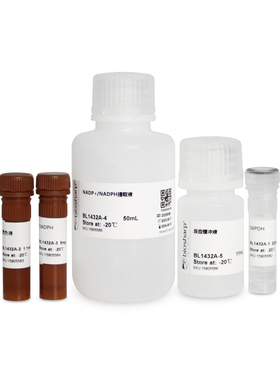 BL1432A NADP+/NADPH检测试剂盒