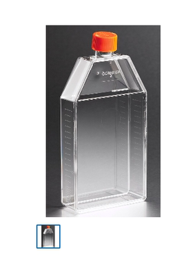 培养瓶175cm2 NT表面透气盖5/包10包/箱|Corning/康宁 431466