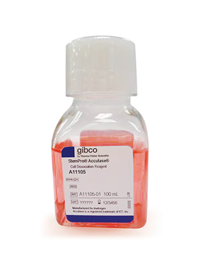 Gibco A1110501 StemPro Accutase 细胞解离试剂 100ml