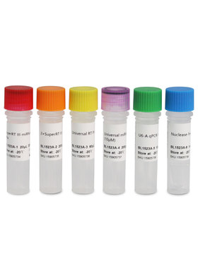 BL1522A SuperRT III miRNA 反转录试剂盒（茎环法