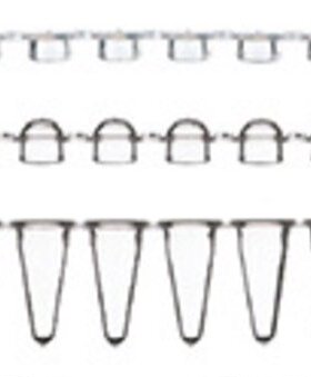 thermo 赛默 LIFE AB1771 低位管定量PCR八连管