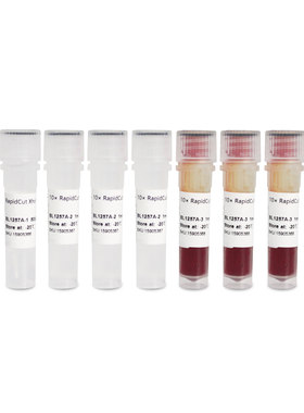 BL1257A RapidCut XhoI 快速限制性内切酶