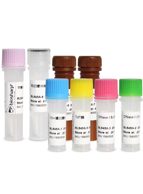 BL645A TUNEL细胞凋亡检测试剂盒（FITC 绿色荧光标记法）