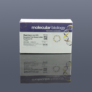 K1622 RevertAid First Strand cdna SynthesisKitRT逆转录试剂盒