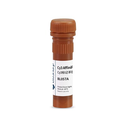 模板Biosharp BL057A Cy3标记山羊抗小鼠IgG(H+L)  0.1ml