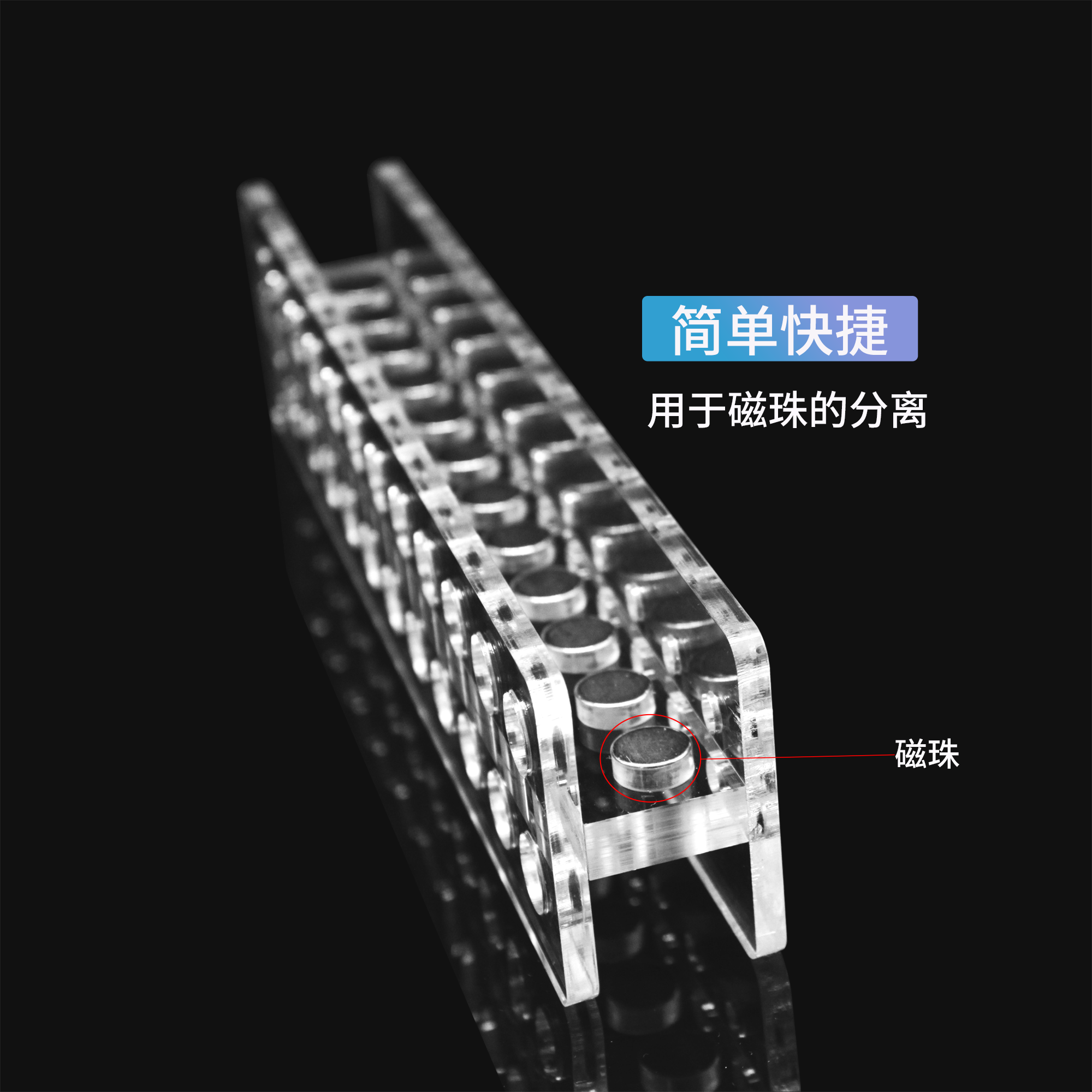 Biosharp BS-MGS-015-24 24孔磁力架 1.5ml/2ml