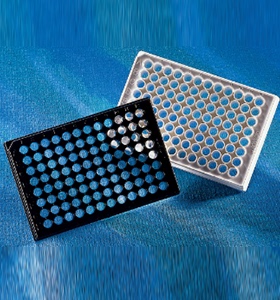 康宁Corning 3614 96孔板 黑色底透明 TC表面无盖 25块/包4包/箱