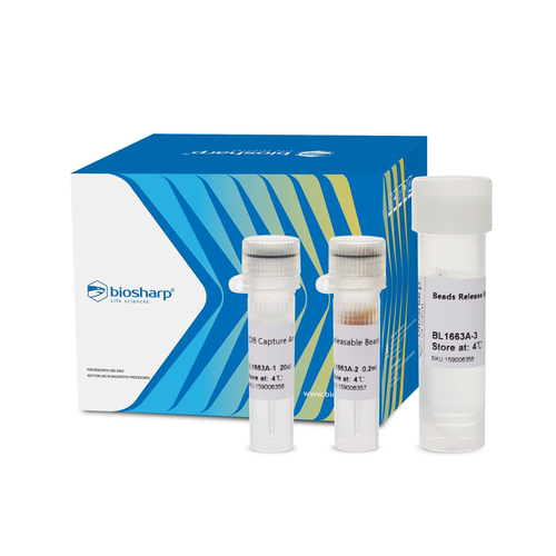 Biosharp/白鲨 BL1663A 小鼠CD8+ 细胞磁珠法分选试剂盒（阳选）