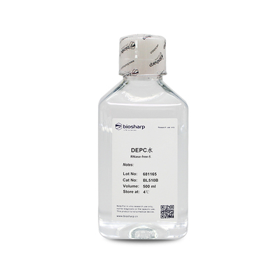 bs- BL510B DEPC水 500ml  买3送一