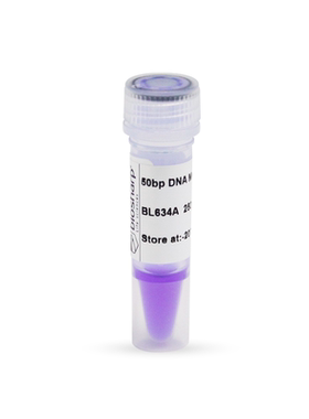 bs- BL634A 50bp DNA Marker分子量标准（50-600bp）