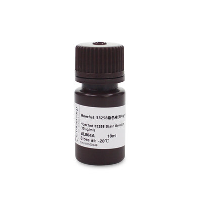 Biosharp BL804A Hoechst 33258染色试剂 即用型（10ug/ml） 10ml