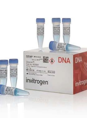 zeocin 博来霉素 博莱霉素 invitrogen原装R25001 125mg/1.25ml