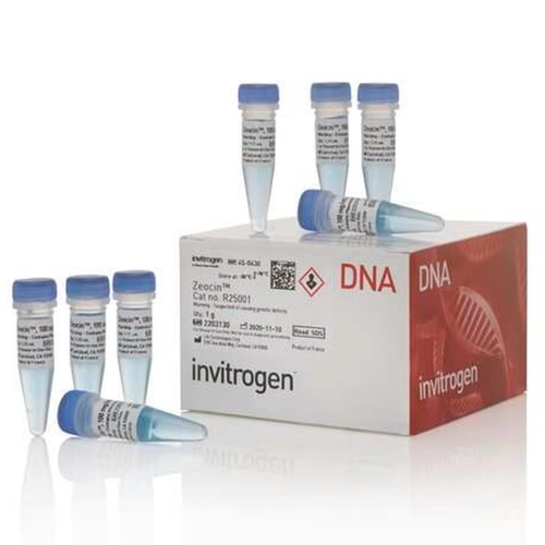 zeocin 博来霉素 博莱霉素 invitrogen原装R25001 125mg/1.25ml