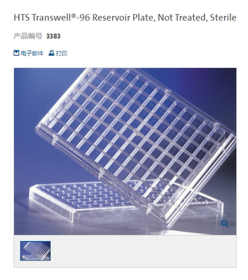 Corning  3383 TRANSWELL 带可除去培养基的稳定板及盖的接收板