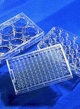 包邮康宁Corning 7007 96孔板超低吸附表面圆底U型底国产也到货