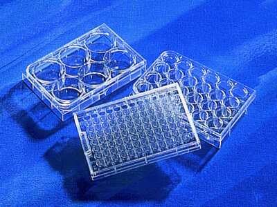 包邮康宁Corning 7007 96孔板超低吸附表面圆底U型底国产也到货