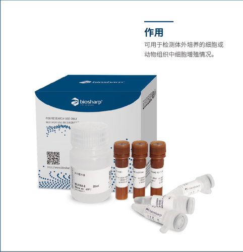 BS家 BL915A EdU-488细胞增殖检测试剂盒(适用于FACS、FM)