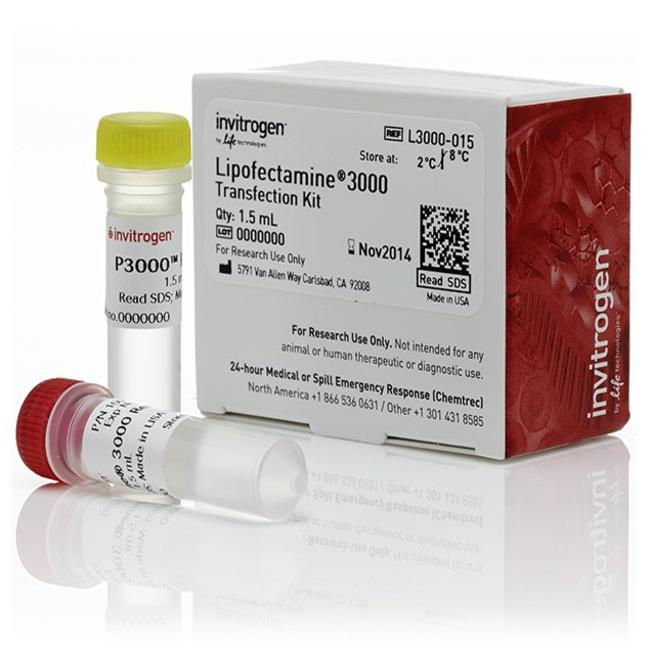 L3000-015 试剂Lipofectamine3000