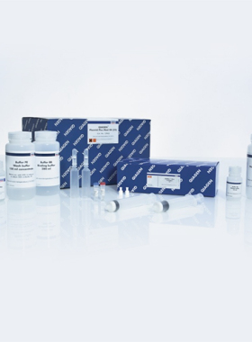 Qiagen 12943 质粒中提试剂盒