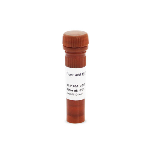 白鲨 BL1190A Fluor488 phalloidin 标记鬼笔环肽（绿色）300T/盒