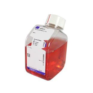 049 LIFE Gibco 21103 Medium Neurobasal