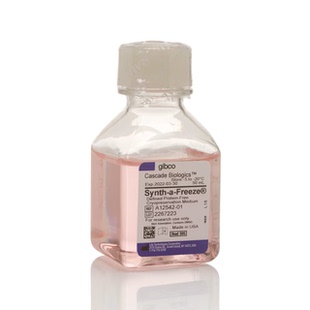 GIBCO A1254201 Synth-a-Freeze 冻存培养基（含10%DMSO） 500ml