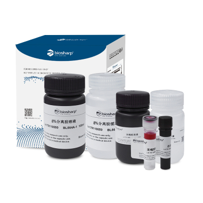 BS家 BL564A 8% SDS-PAGE彩色凝胶快速制备试剂盒