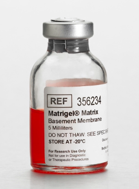 现货特价BD Biocoat 356234 5ml Matrigel 基质胶, LDEV-free