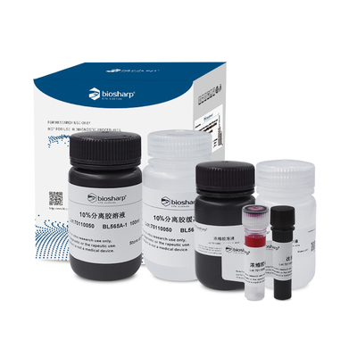 bs- BL565A 10% SDS-PAGE彩色凝胶快速制备试剂盒