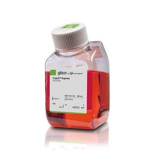 gibco 12605-028 TrypLE Express 酶 (1X) 含酚红 500ml