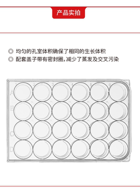 国产24孔细胞培养板多聚-D-赖氨酸包被表面替换BD Biocoat 354414