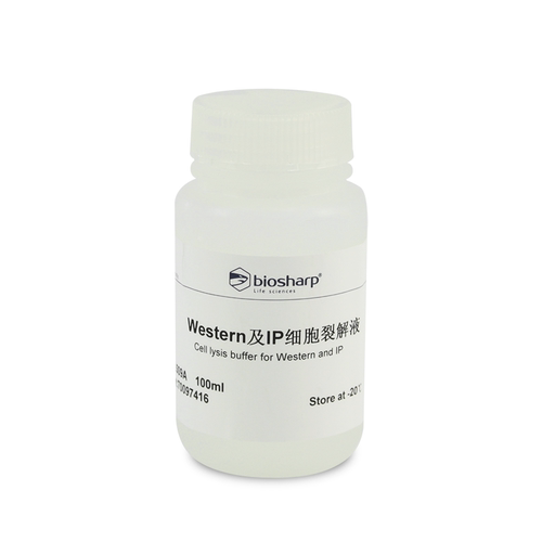 bs BL509A Western及IP细胞裂解液