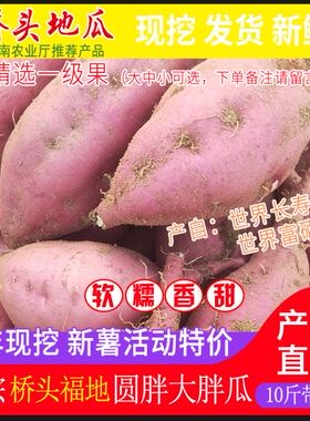 海南澄迈桥头桥沙富硒地瓜金手指黄心板栗薯番薯5斤9斤长圆果包邮