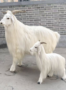 一比一仿真羊模型摆件