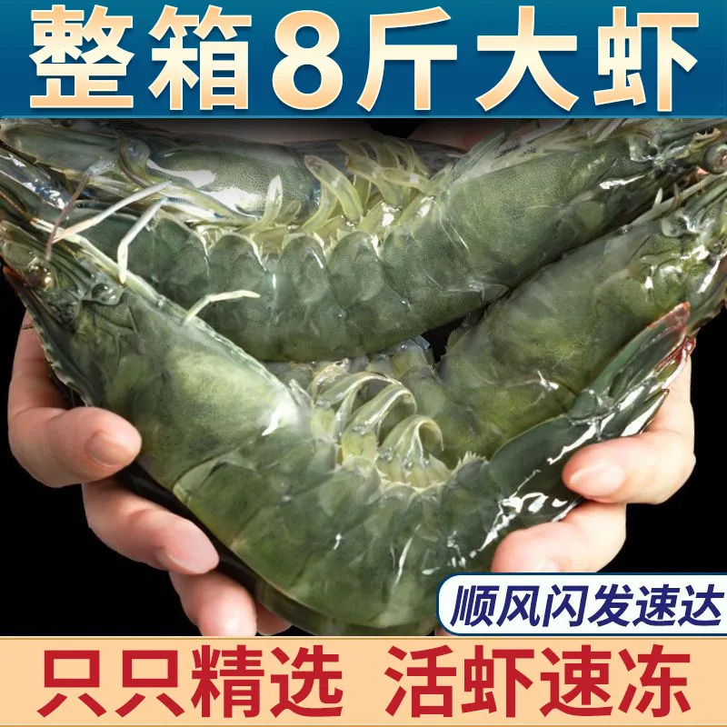 青岛大虾特大青虾海虾冻虾特大
